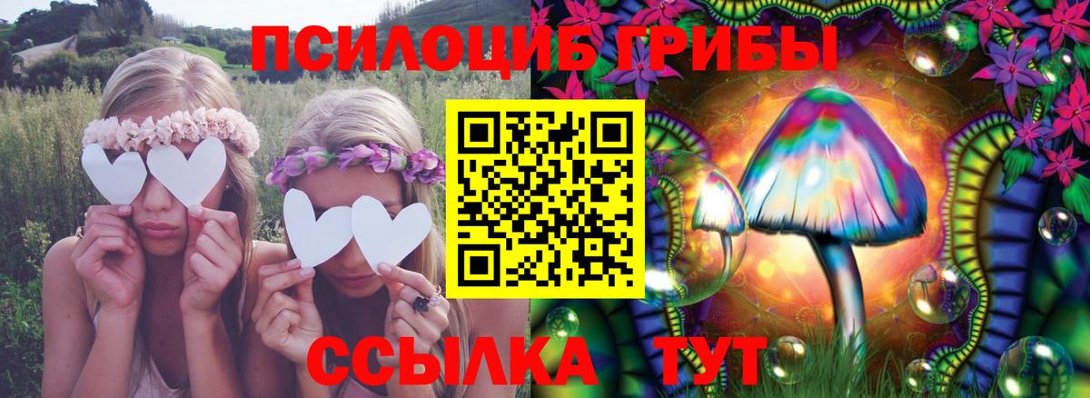Псилоцибиновые грибы Magic Shrooms Реж
