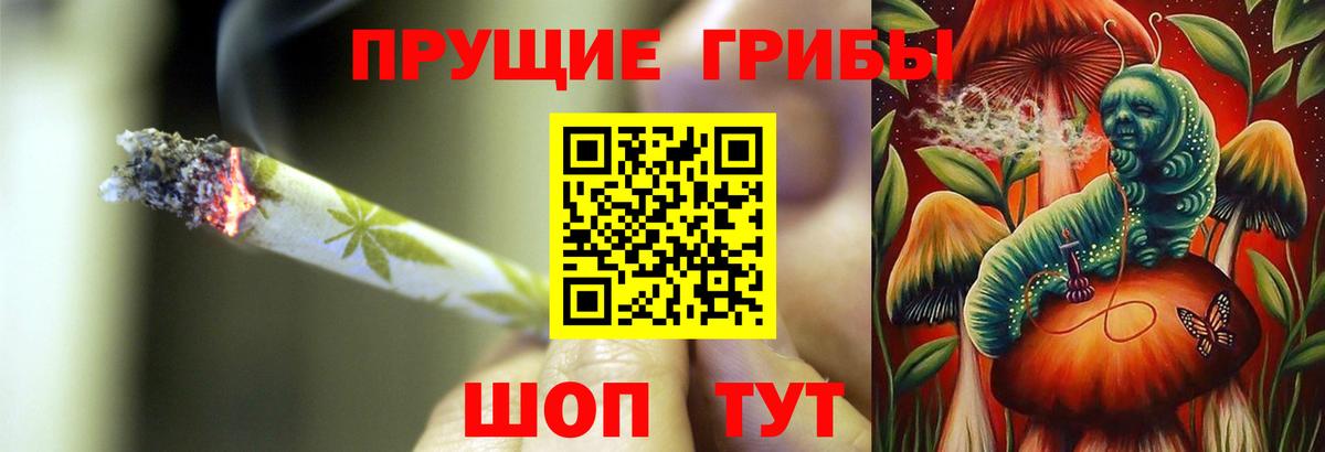 Псилоцибиновые грибы Psilocybe  Вход с VPN  Псилоцибиновые грибы MAGIC MUSHROOMS  как найти закладки  Реж 